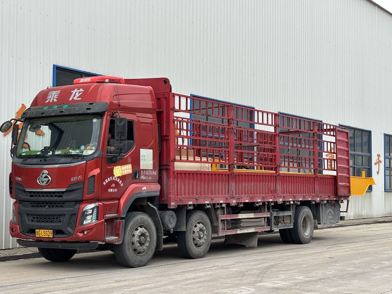 歐式葫蘆雙 LHO12.5t-10m 制作完成 裝車(chē)發(fā)出